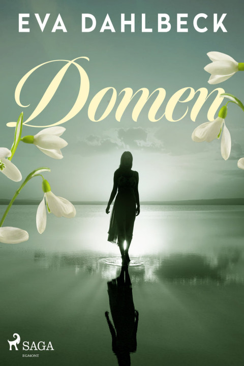 Omslag: Domen