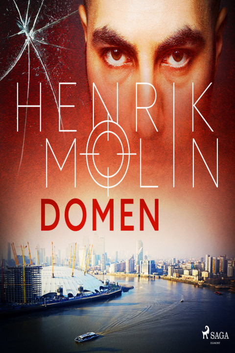 Omslag: Domen