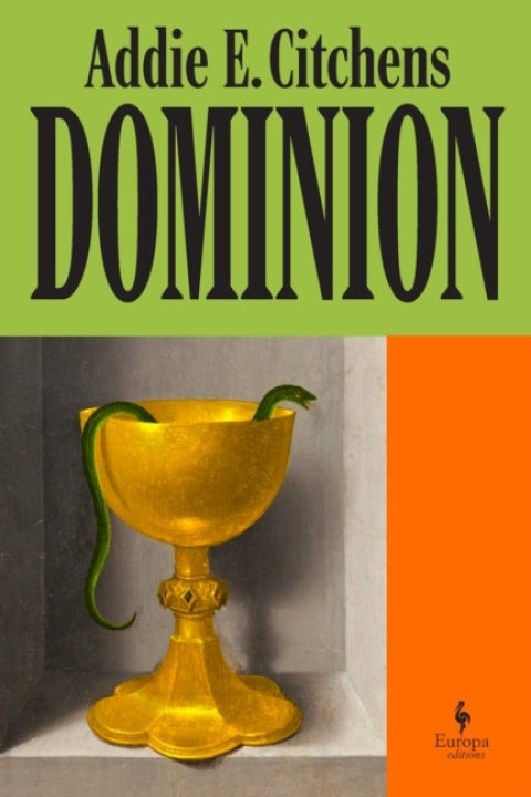 Omslag: DOMINION