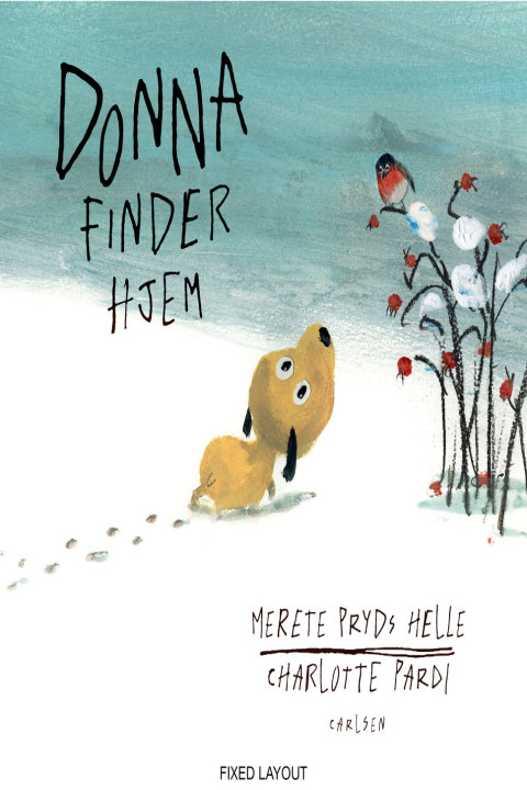 Omslag: Donna finder hjem