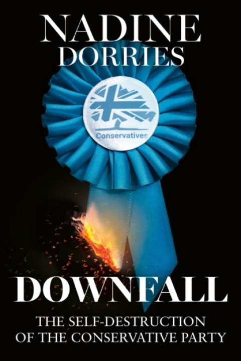 Omslag: Downfall