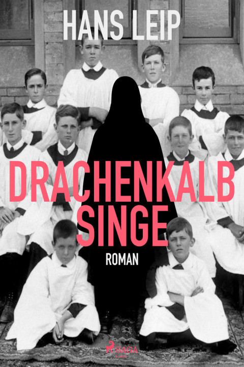 Omslag: Drachenkalb singe