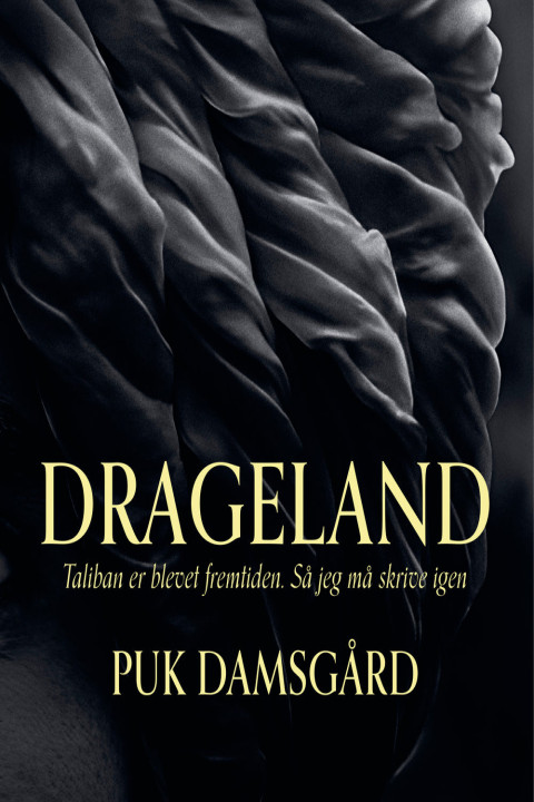 Omslag: Drageland