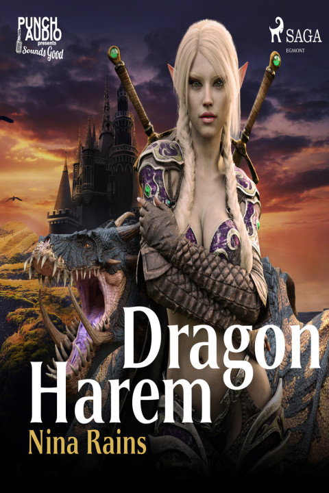 Omslag: Dragon Harem