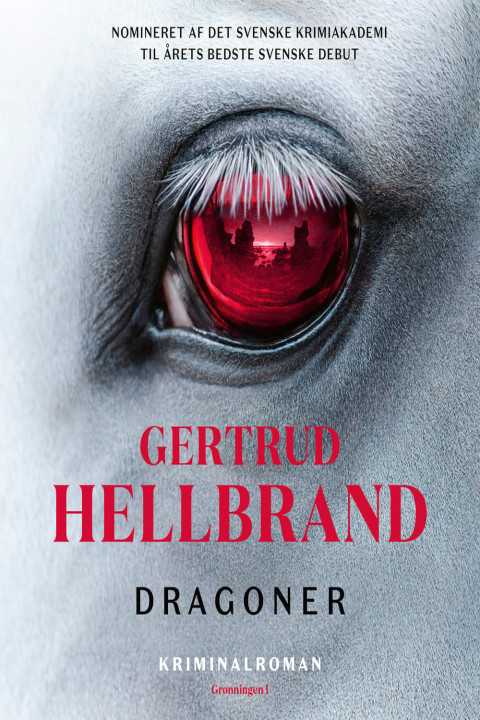 Omslag: Dragoner