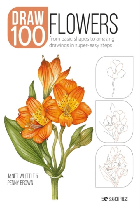 Omslag: Draw 100