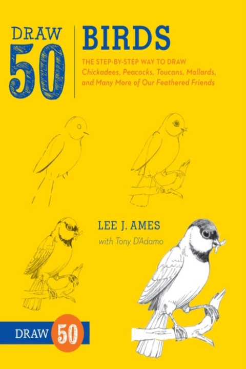 Omslag: Draw 50 Birds