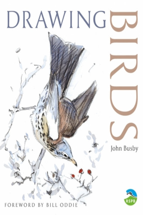 Omslag: Drawing Birds