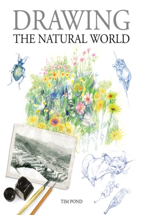 Omslag: Drawing the Natural World