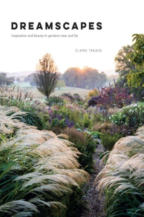 Omslag: Dreamscapes