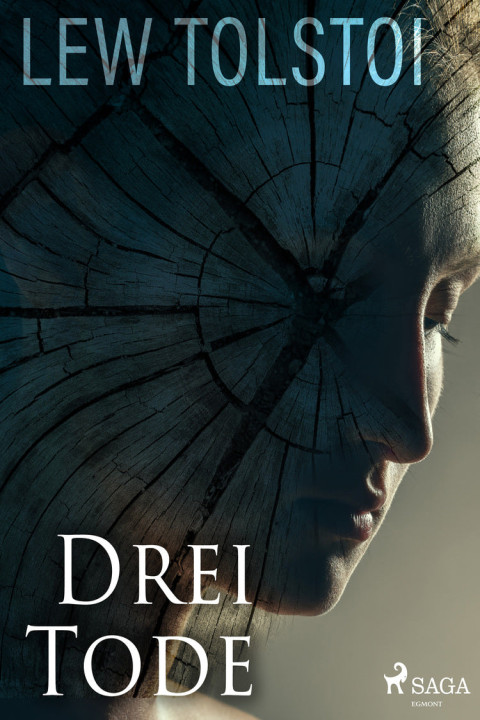 Omslag: Drei Tode
