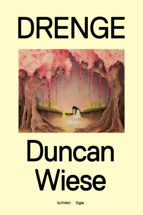 Omslag: Drenge
