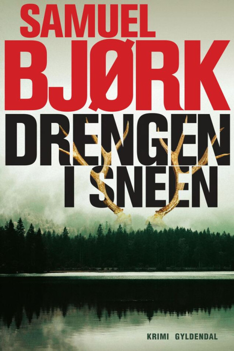 Omslag: Drengen i sneen