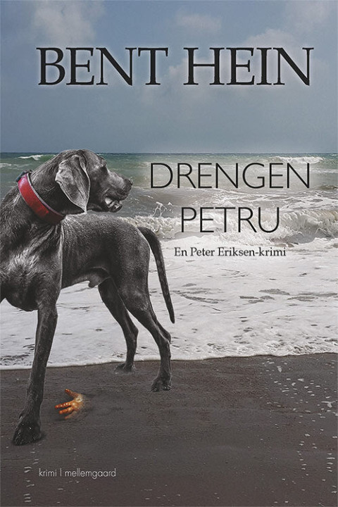 Omslag: Drengen Petru