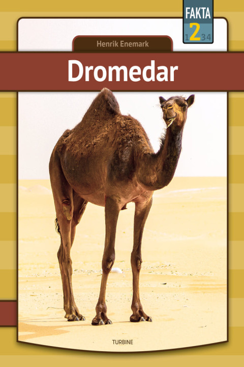 Omslag: Dromedar