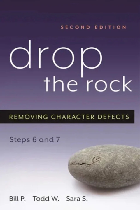 Omslag: Drop the Rock