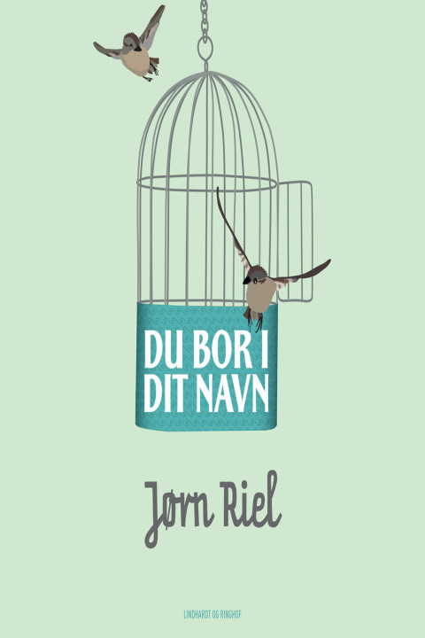 Omslag: Du bor i dit navn