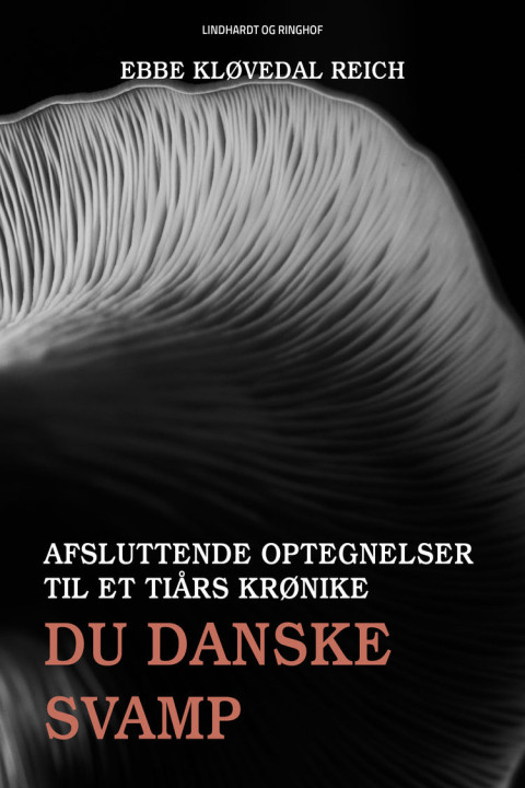 Omslag: Du danske svamp