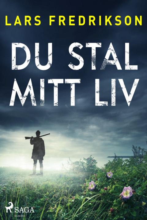 Omslag: Du stal mitt liv