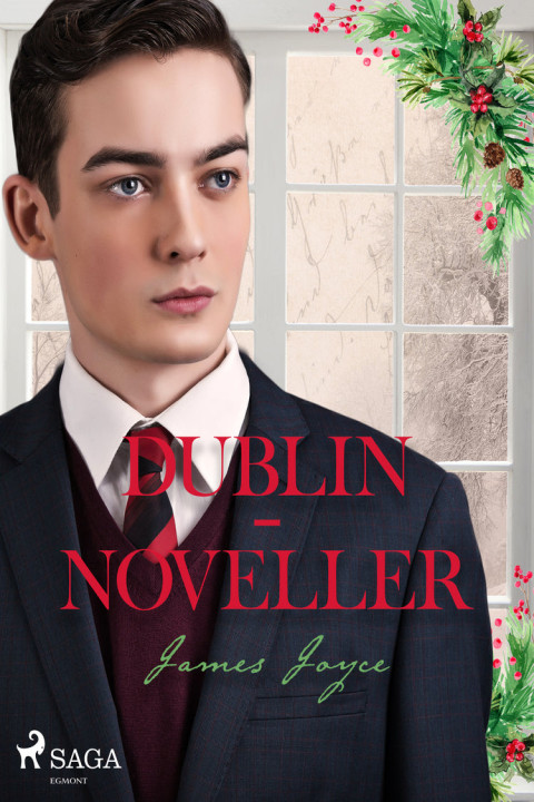 Omslag: Dublin-noveller