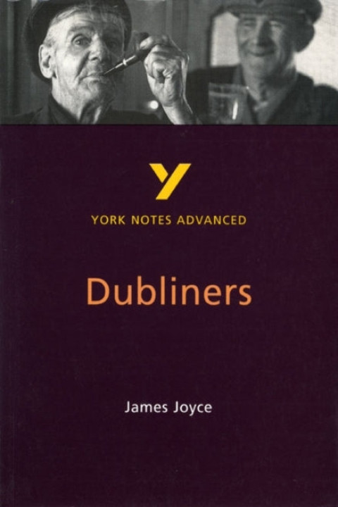 Omslag: Dubliners York Notes Advanced English Literature Study Guide
