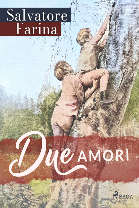 Omslag: Due amori