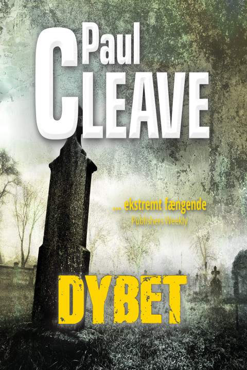Omslag: Dybet