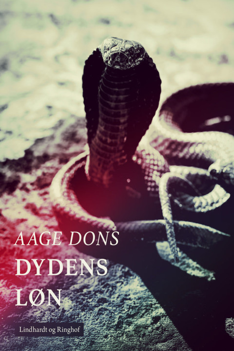 Omslag: Dydens løn