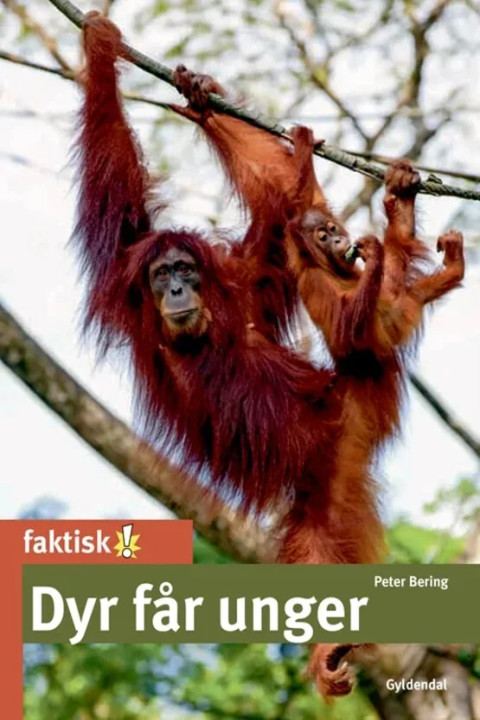 Omslag: Dyr får unger