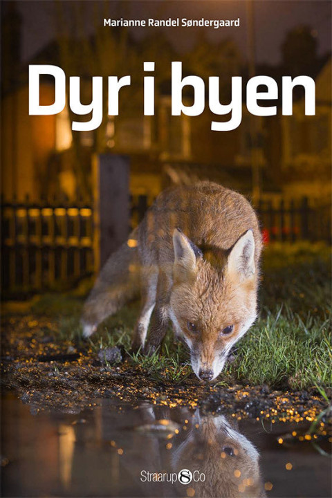 Omslag: Dyr i byen