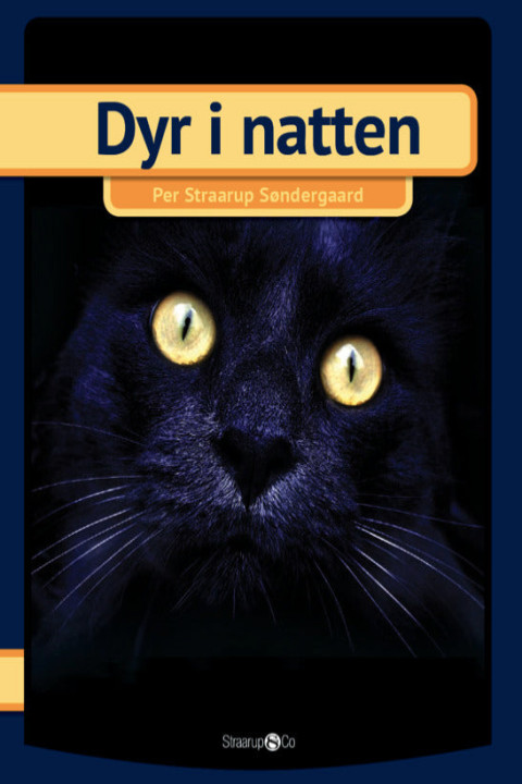 Omslag: Dyr i natten