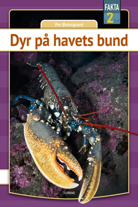 Omslag: Dyr på havets bund