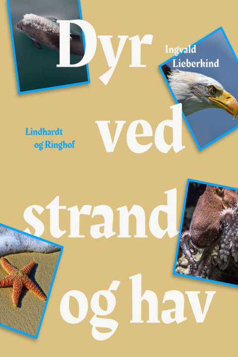 Omslag: Dyr ved strand og i hav