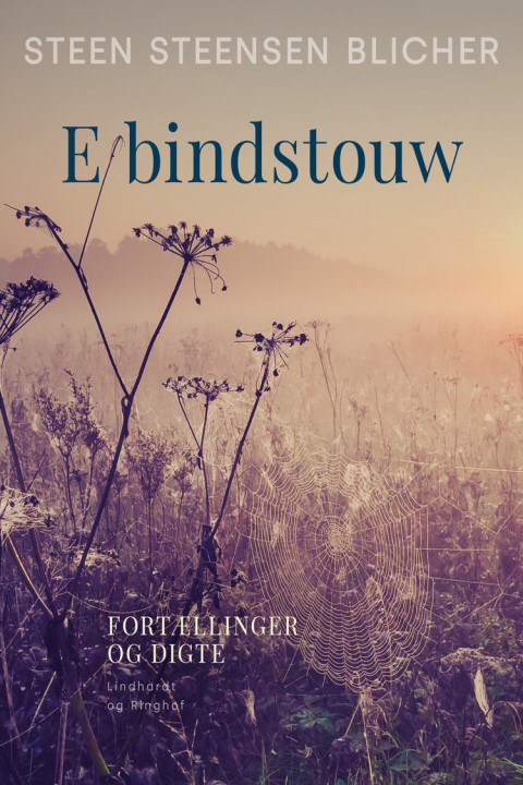 Omslag: E bindstouw