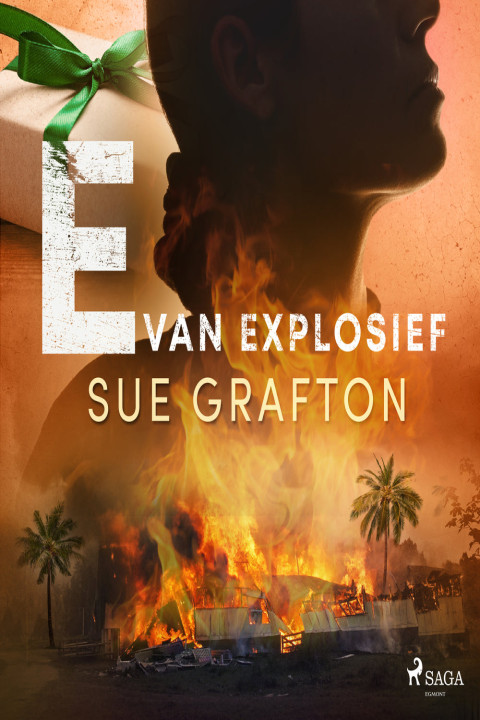 Omslag: E van explosief