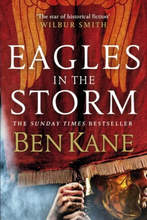 Omslag: Eagles in the Storm