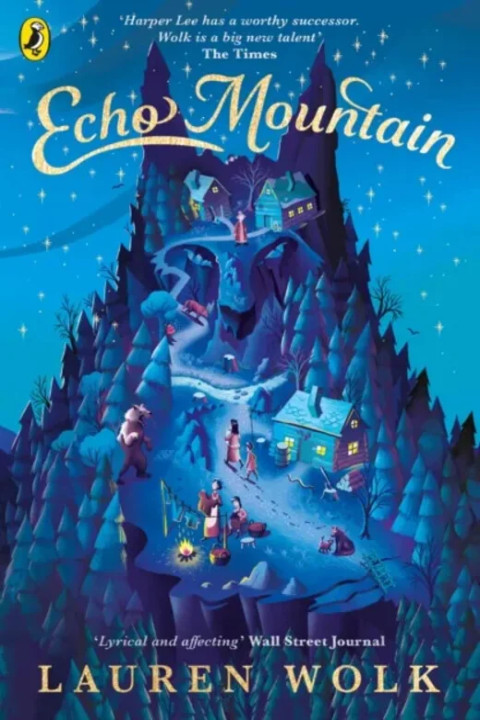 Omslag: Echo Mountain