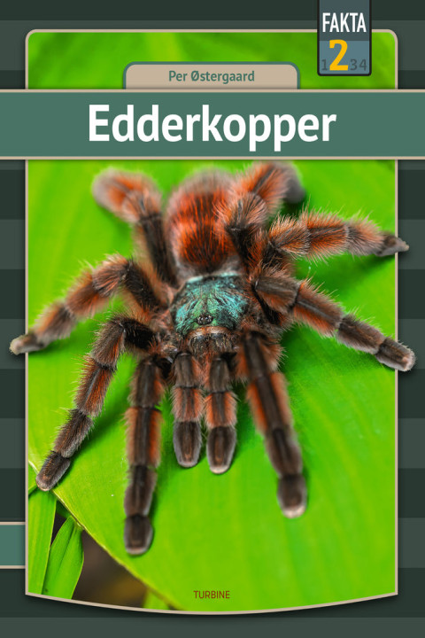 Omslag: Edderkopper