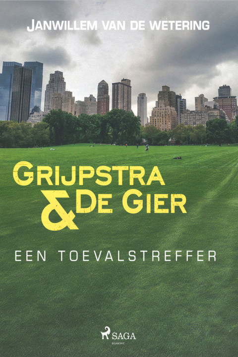Omslag: Een toevalstreffer