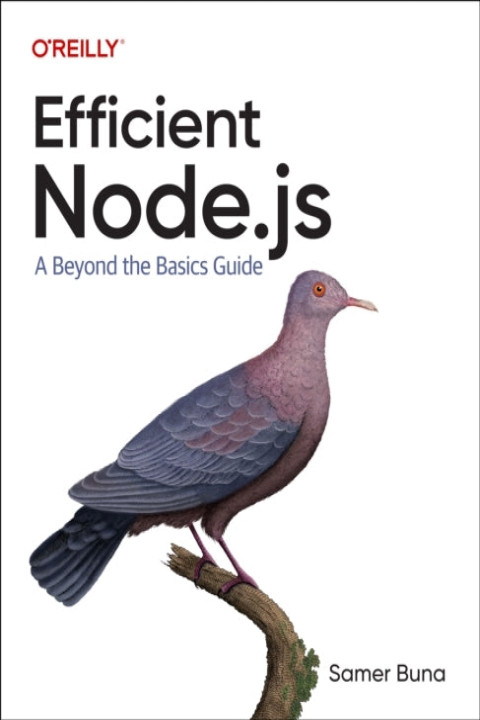 Omslag: Efficient Node.js