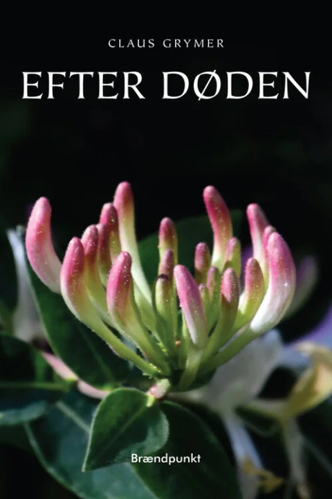 Omslag: Efter døden