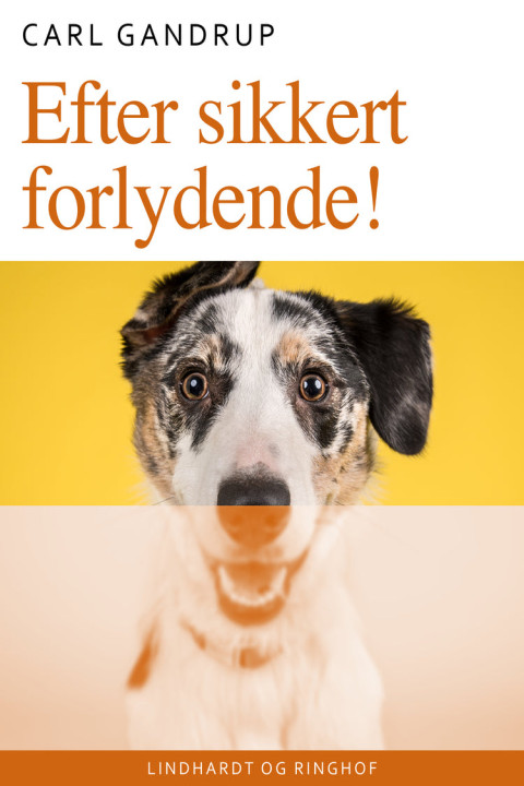 Omslag: Efter sikkert forlydende!