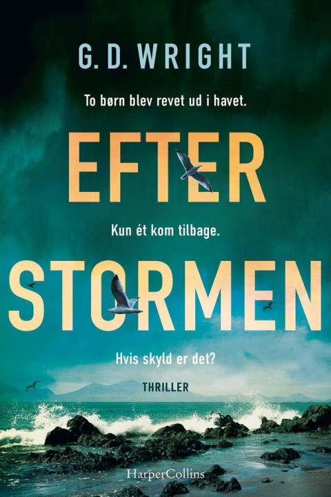 Omslag: Efter stormen