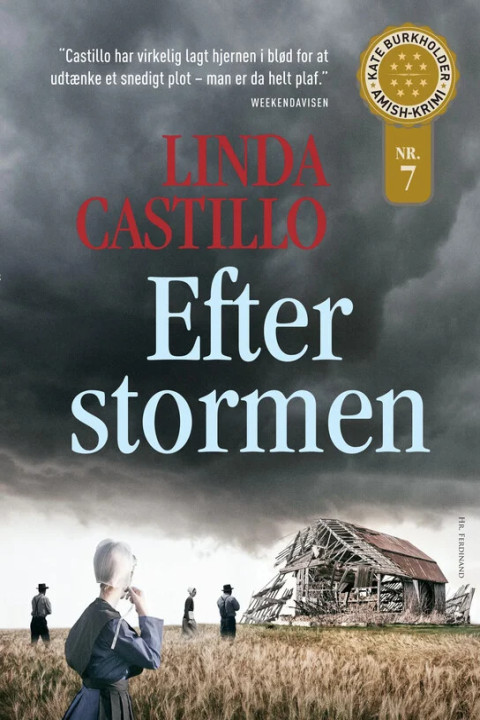 Omslag: Efter stormen