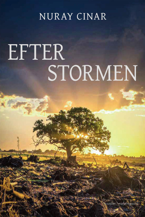 Omslag: Efter stormen