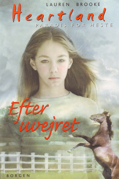 Omslag: Efter uvejret