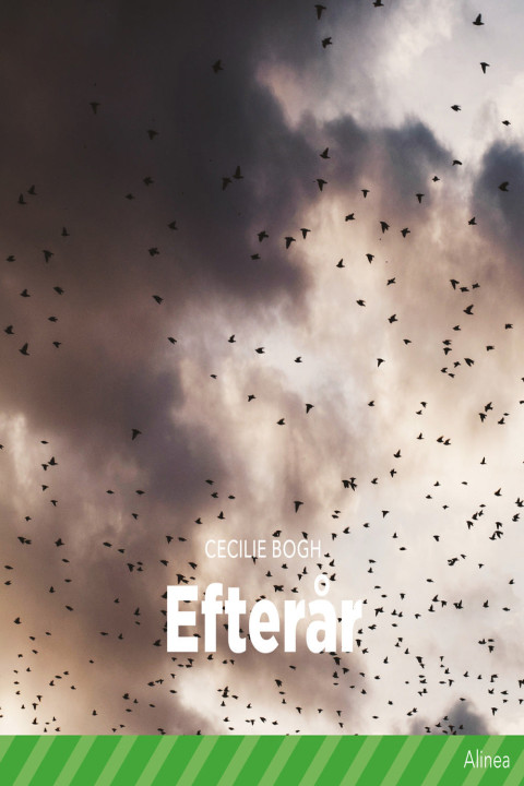 Omslag: Efterår