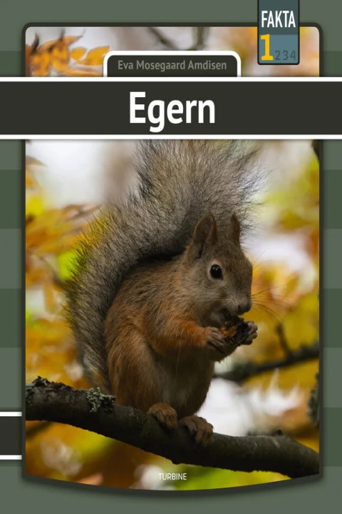 Omslag: Egern