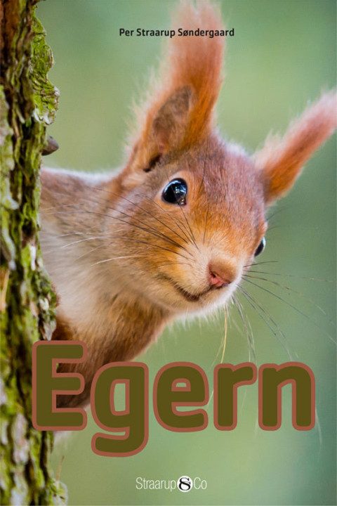 Omslag: Egern
