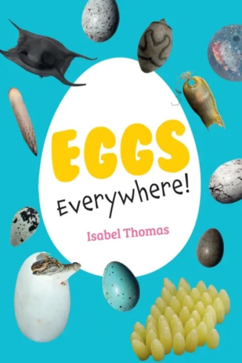 Omslag: Eggs Everywhere! - Fluency 6